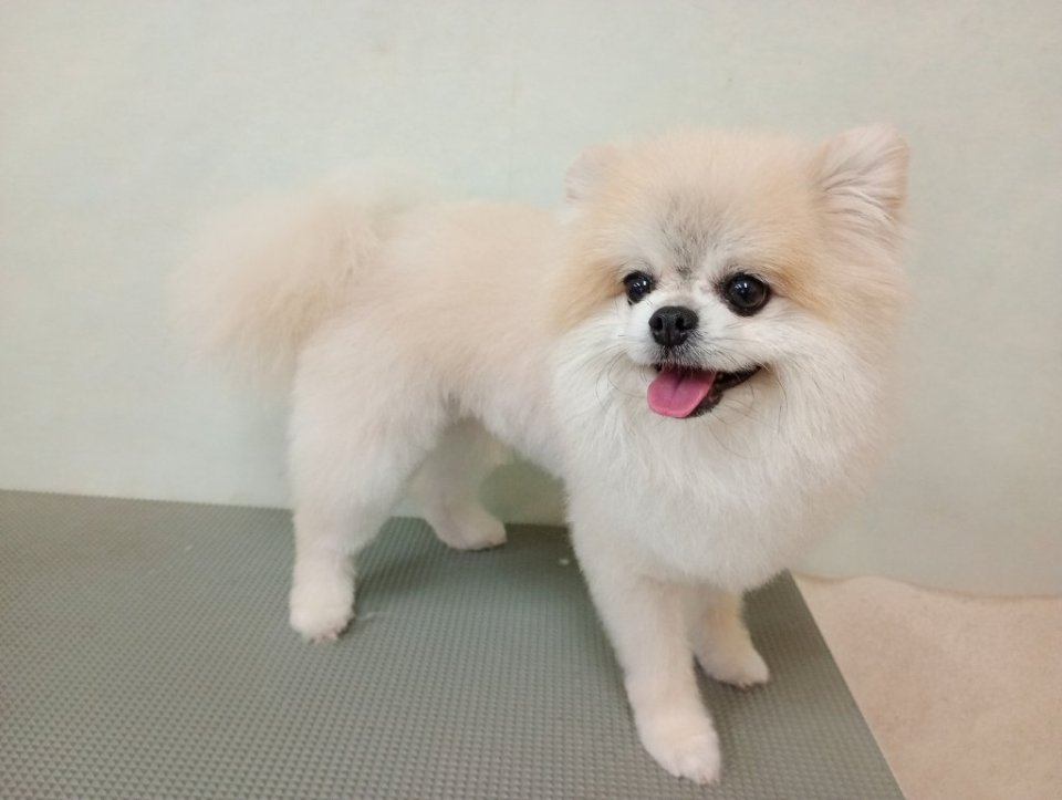 https://www.gurutto-fukushima.com/db_img/cl_img/836/news/images/app_PhnKof_202608141726.jpg