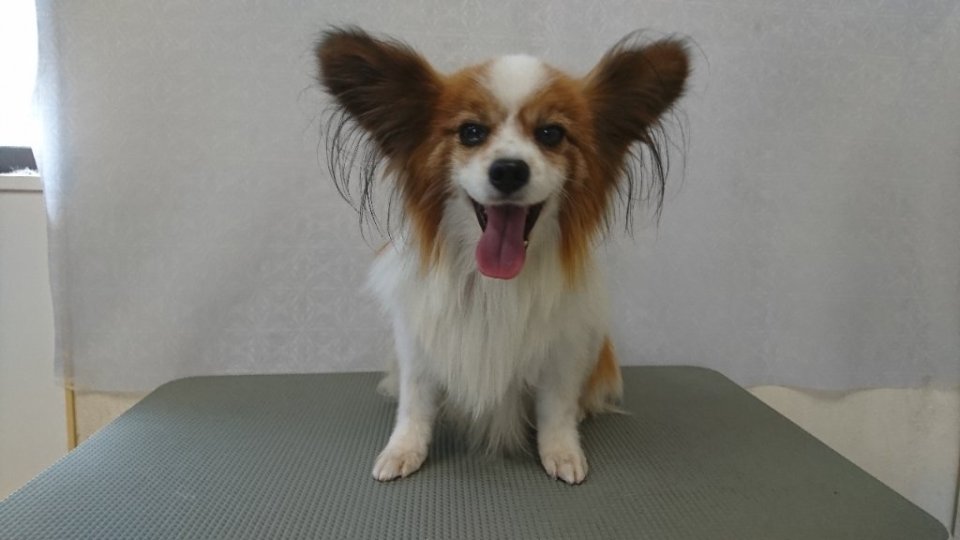 https://www.gurutto-fukushima.com/db_img/cl_img/836/news/images/app_T5gkQu_202405221813.jpg