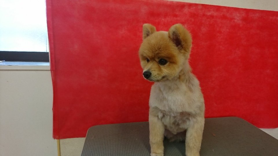 https://www.gurutto-fukushima.com/db_img/cl_img/836/news/images/app_T9snHG_202310301704.jpg