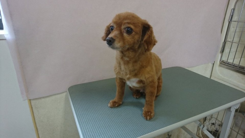 https://www.gurutto-fukushima.com/db_img/cl_img/836/news/images/app_TEqV1Z_202406021900.jpg