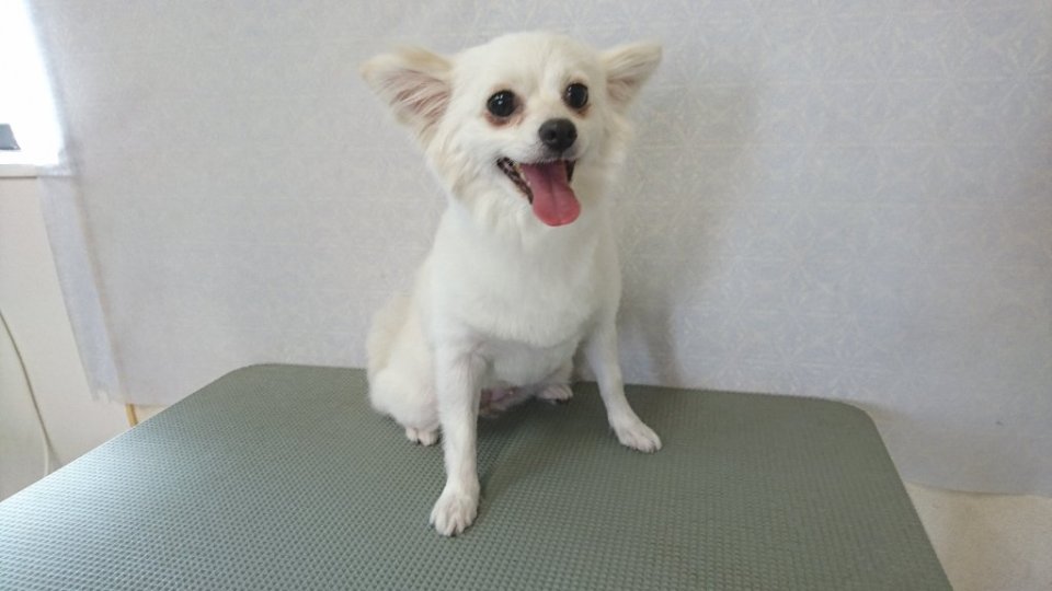 https://www.gurutto-fukushima.com/db_img/cl_img/836/news/images/app_TeNMjU_202404281805.jpg