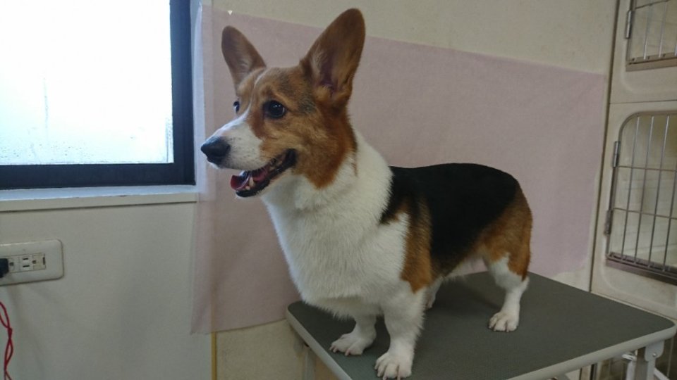 https://www.gurutto-fukushima.com/db_img/cl_img/836/news/images/app_USw5kc_202401111739.jpg