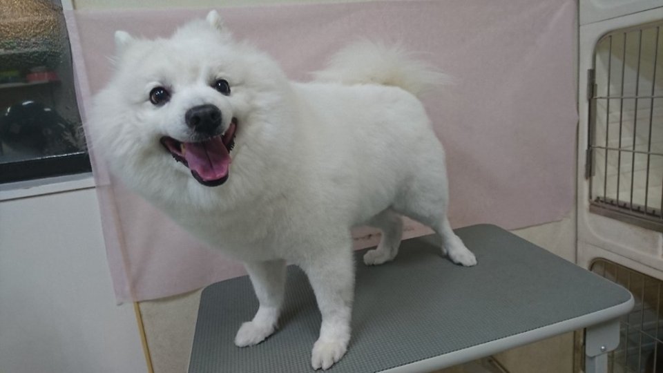 https://www.gurutto-fukushima.com/db_img/cl_img/836/news/images/app_UuOO77_202401271843.jpg