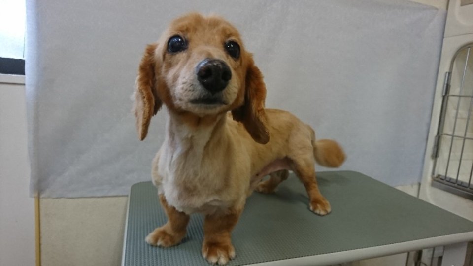 https://www.gurutto-fukushima.com/db_img/cl_img/836/news/images/app_WYBvK7_202310291639.jpg