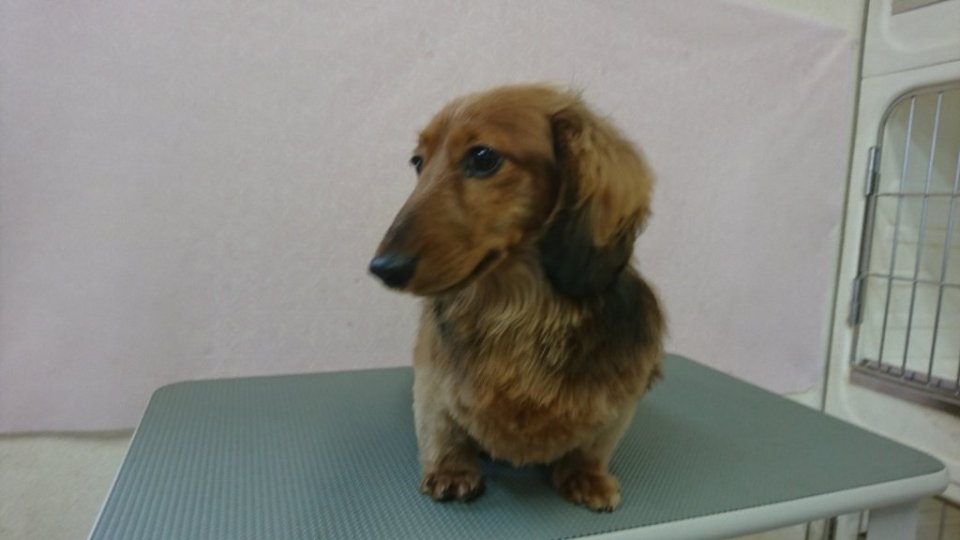 https://www.gurutto-fukushima.com/db_img/cl_img/836/news/images/app_YXClJD_202402291844.jpg