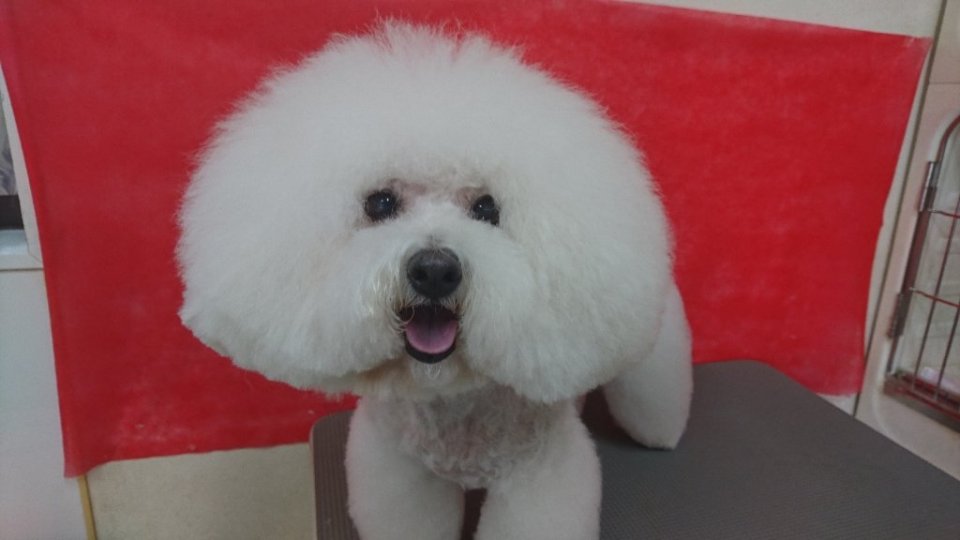 https://www.gurutto-fukushima.com/db_img/cl_img/836/news/images/app_a12zPU_202411231632.jpg