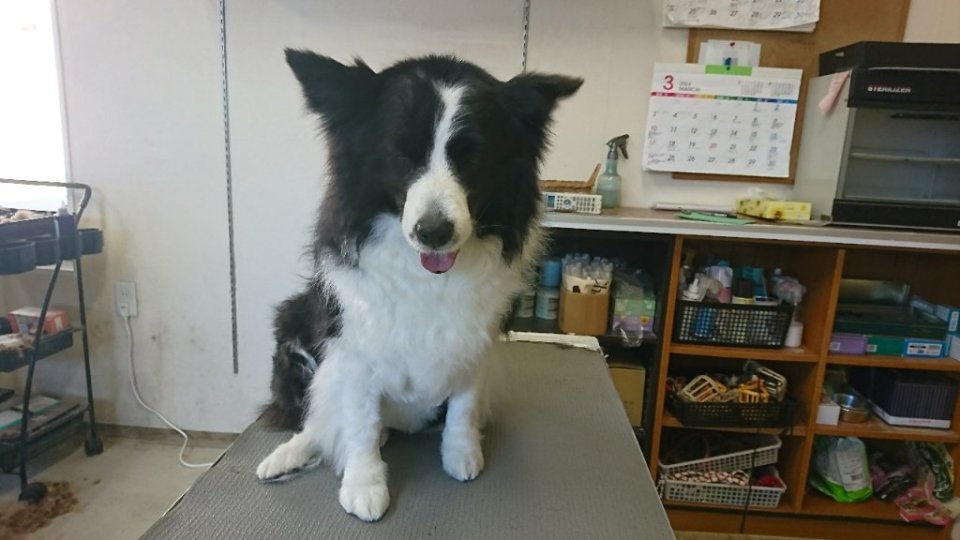 https://www.gurutto-fukushima.com/db_img/cl_img/836/news/images/app_cSlWAV_202403221751.jpg