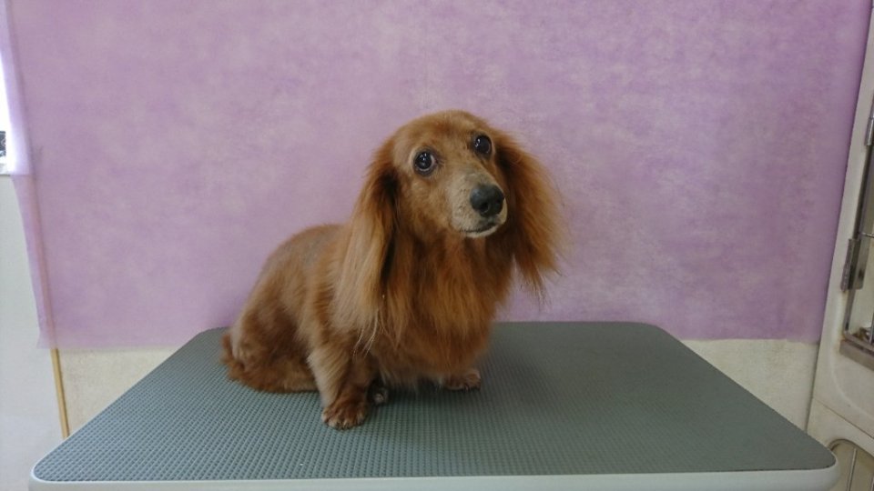 https://www.gurutto-fukushima.com/db_img/cl_img/836/news/images/app_ckmpJ7_202406171806.jpg