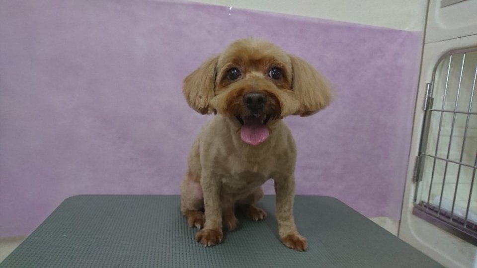 https://www.gurutto-fukushima.com/db_img/cl_img/836/news/images/app_dcicWH_202410071720.jpg