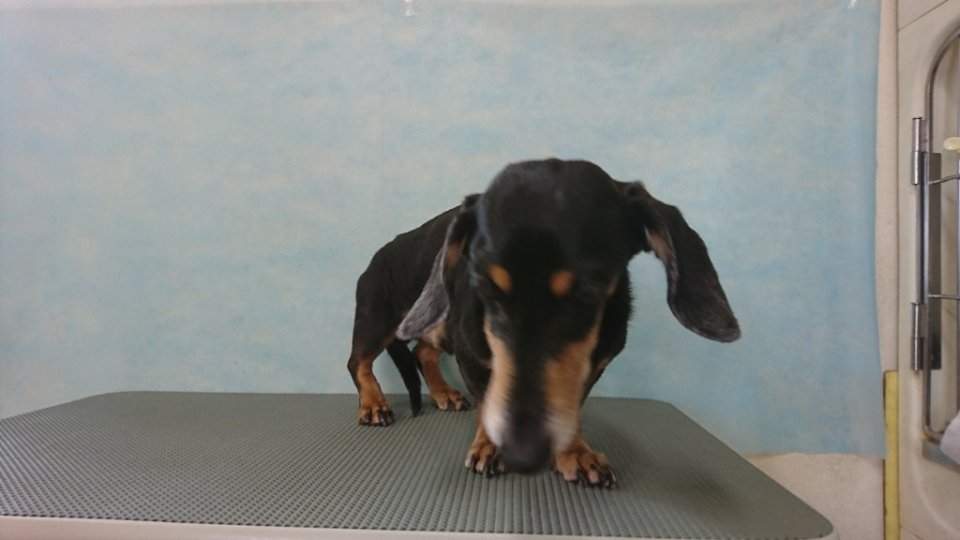 https://www.gurutto-fukushima.com/db_img/cl_img/836/news/images/app_eNFi5u_202411031702.jpg