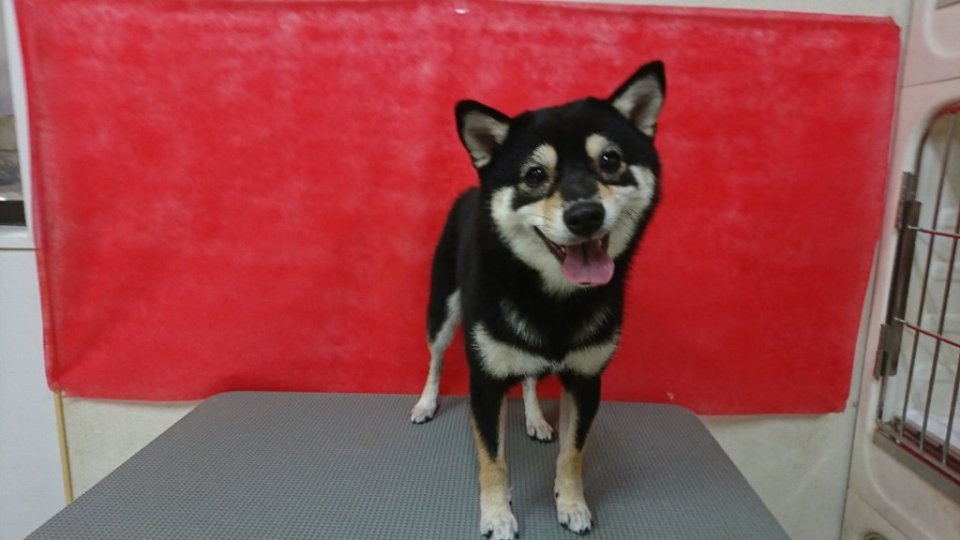https://www.gurutto-fukushima.com/db_img/cl_img/836/news/images/app_eRCjTY_202409211708.jpg