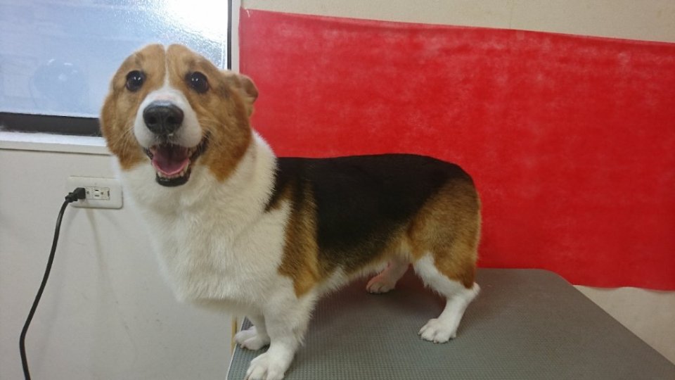 https://www.gurutto-fukushima.com/db_img/cl_img/836/news/images/app_eVhNRl_202403141920.jpg