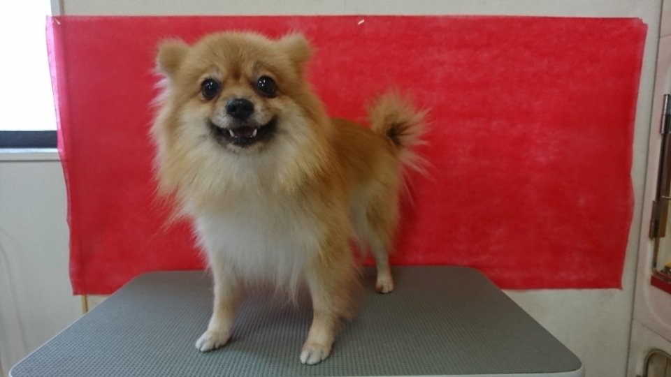 https://www.gurutto-fukushima.com/db_img/cl_img/836/news/images/app_eeKD3V_202311191833.jpg