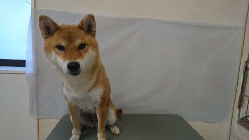 https://www.gurutto-fukushima.com/db_img/cl_img/836/news/images/app_ekPs5y_202401101744.jpg
