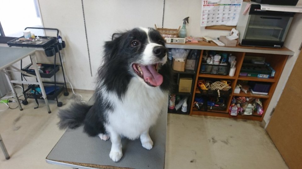 https://www.gurutto-fukushima.com/db_img/cl_img/836/news/images/app_g4qk5N_202311231832.jpg