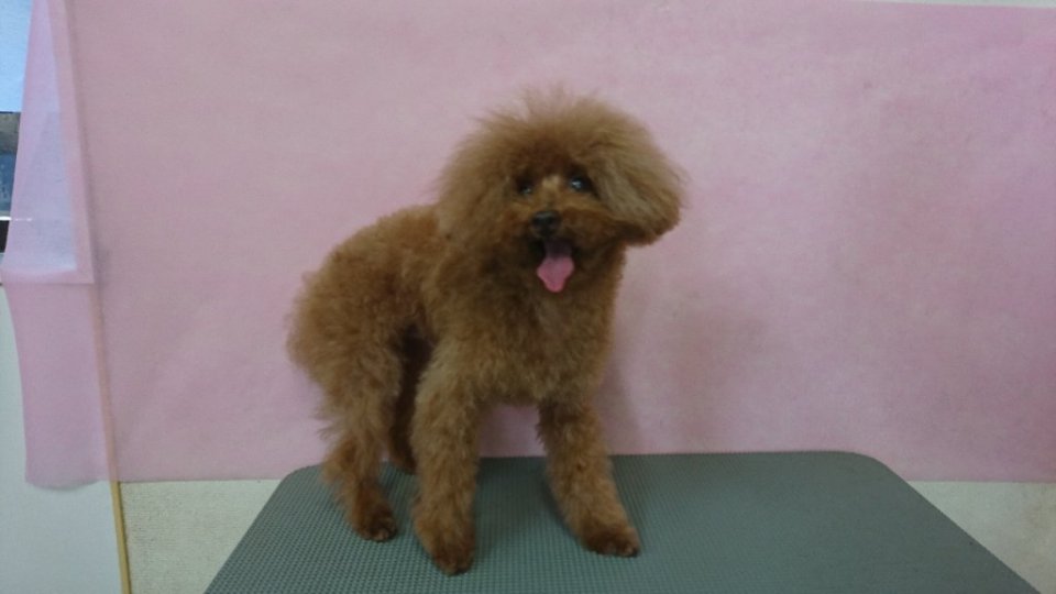 https://www.gurutto-fukushima.com/db_img/cl_img/836/news/images/app_gbRyvv_202406261800.jpg