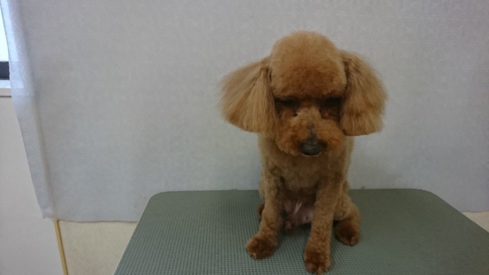 https://www.gurutto-fukushima.com/db_img/cl_img/836/news/images/app_kNnC6d_202403021753.jpg