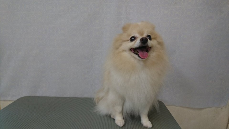 https://www.gurutto-fukushima.com/db_img/cl_img/836/news/images/app_nEWEKd_202401061910.jpg