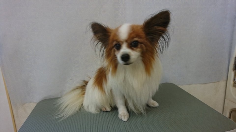 https://www.gurutto-fukushima.com/db_img/cl_img/836/news/images/app_o6KOhX_202311221740.jpg