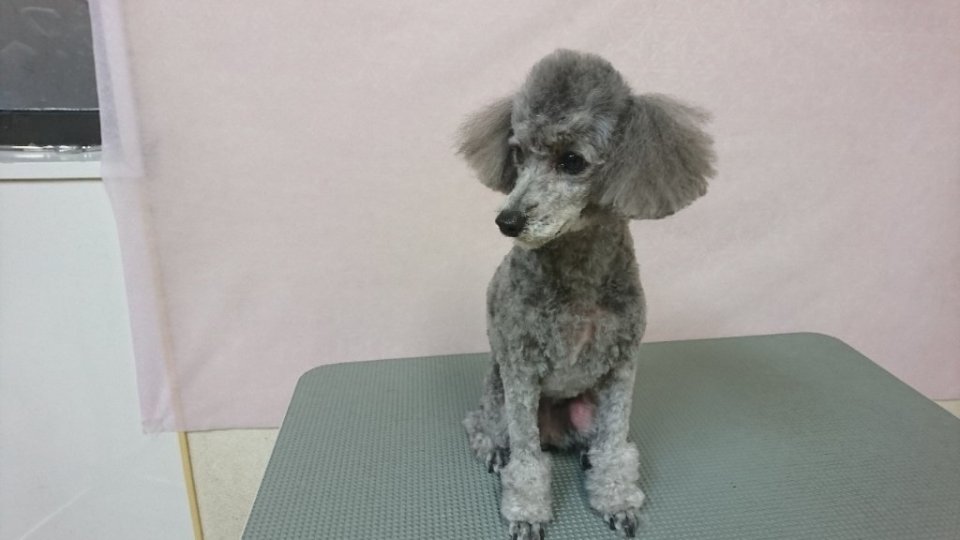 https://www.gurutto-fukushima.com/db_img/cl_img/836/news/images/app_sBrI6H_202402241900.jpg
