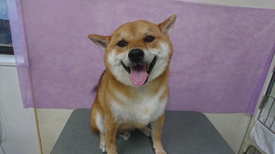 https://www.gurutto-fukushima.com/db_img/cl_img/836/news/images/app_tiRSXR_202407082001.jpg