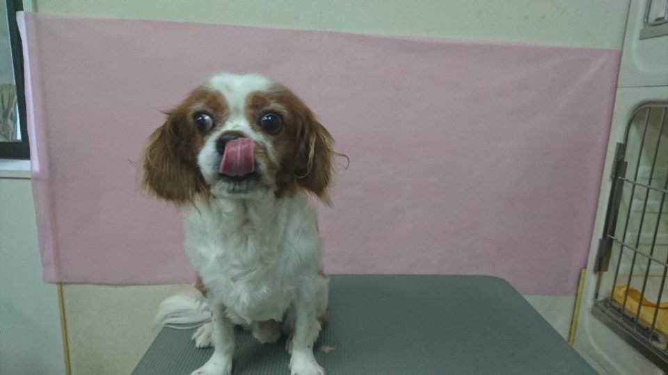 https://www.gurutto-fukushima.com/db_img/cl_img/836/news/images/app_vKIQur_202411161704.jpg