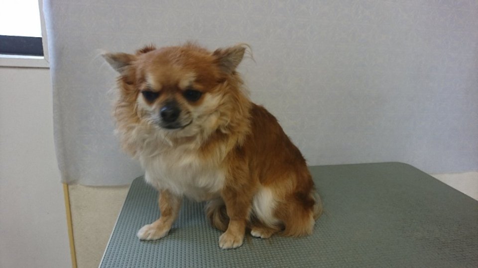 https://www.gurutto-fukushima.com/db_img/cl_img/836/news/images/app_vo1CCf_202311251815.jpg
