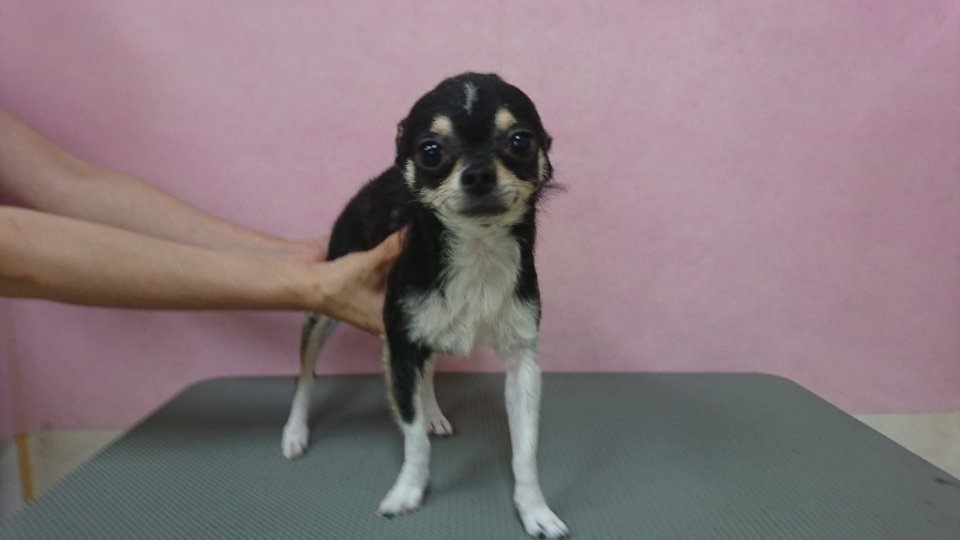 https://www.gurutto-fukushima.com/db_img/cl_img/836/news/images/app_xmxlDP_202407281801.jpg