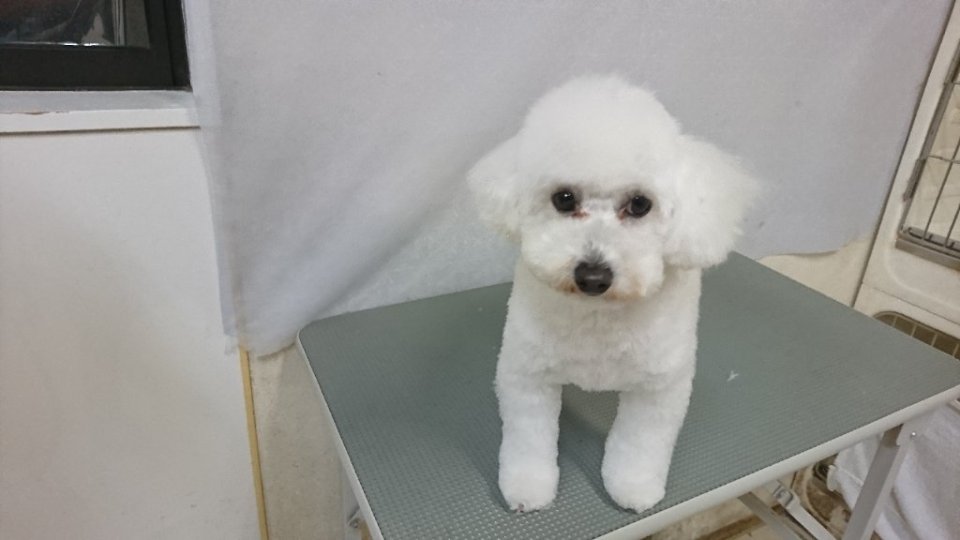 https://www.gurutto-fukushima.com/db_img/cl_img/836/news/images/app_zSs5qY_202404201857.jpg