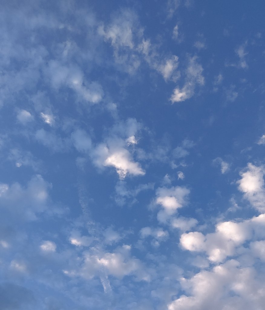 https://www.gurutto-fukushima.com/db_img/cl_img/968/news/images/app_94LVmS_202201312228.jpg