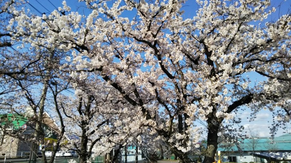 app_AEqJf9_202004231456.jpg