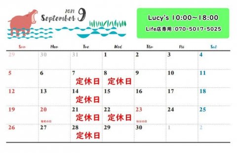 福島市・パワーストーン・天然石│ルーシーズストーン店 Lucy’s stone