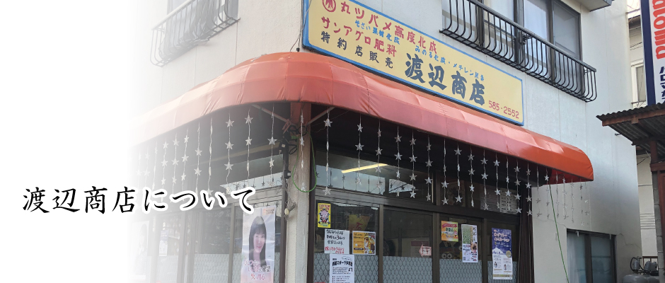 渡辺商店について
