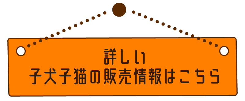 詳しい子犬・子猫の販売情報はこちら