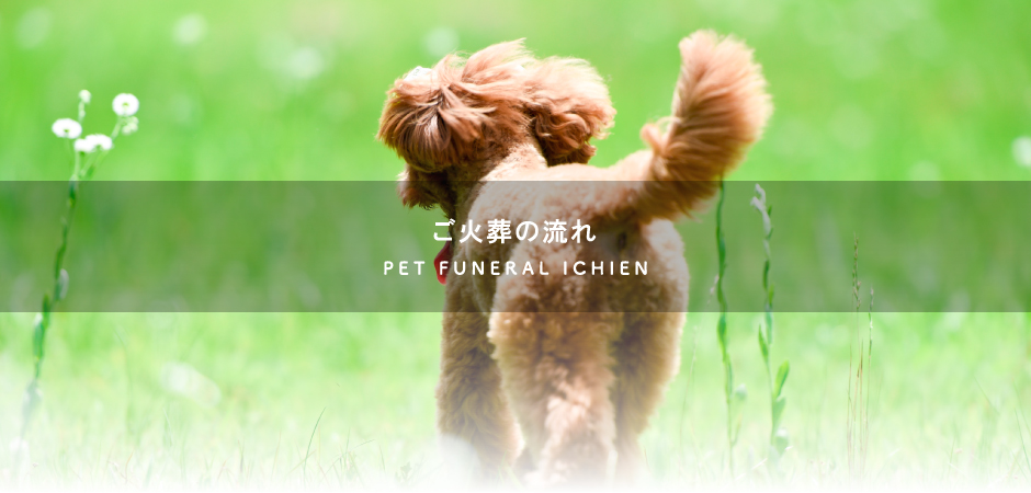 一縁の火葬の流れ