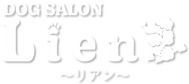 タイトル