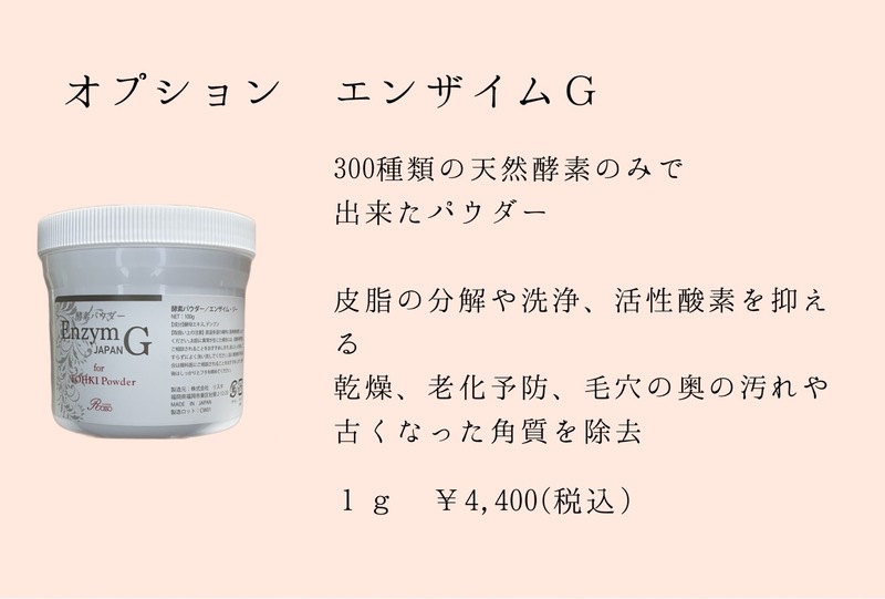 revi ルヴィ エンザイムG 酵素パウダー 100g