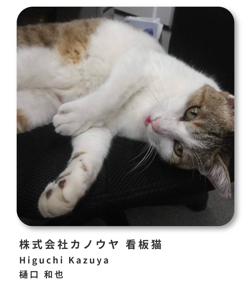 看板猫