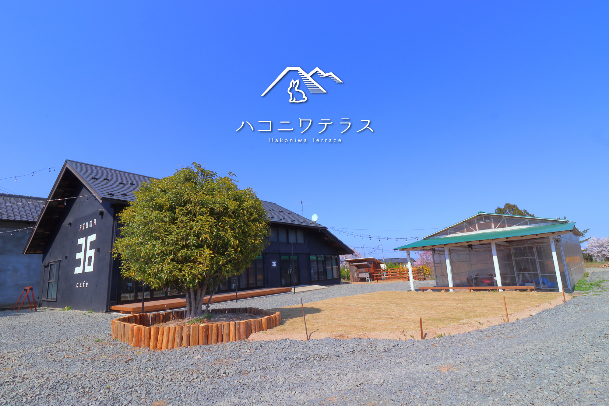 Herbal Force香りの36cafe?📅3月29日（日）🕘10:00〜16:00📍ハコニワ