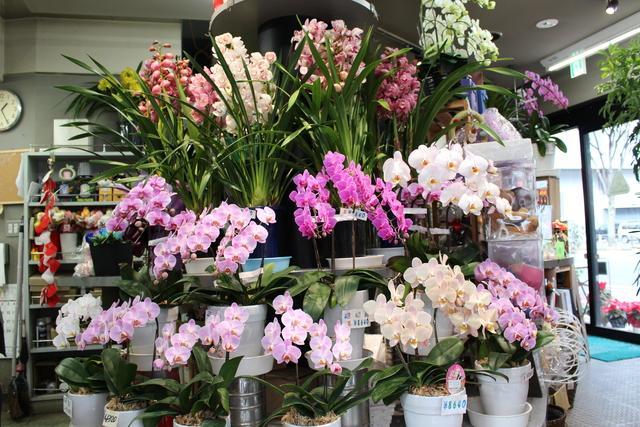 寒いけれど 暖かいお花をお届けします Fats Manです 18 11 05 福島市のフラワー Fats Man ファッツマン 福島 市 花屋 贈り物 花甚