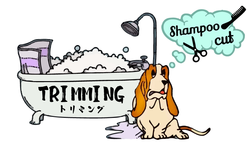 トリミング