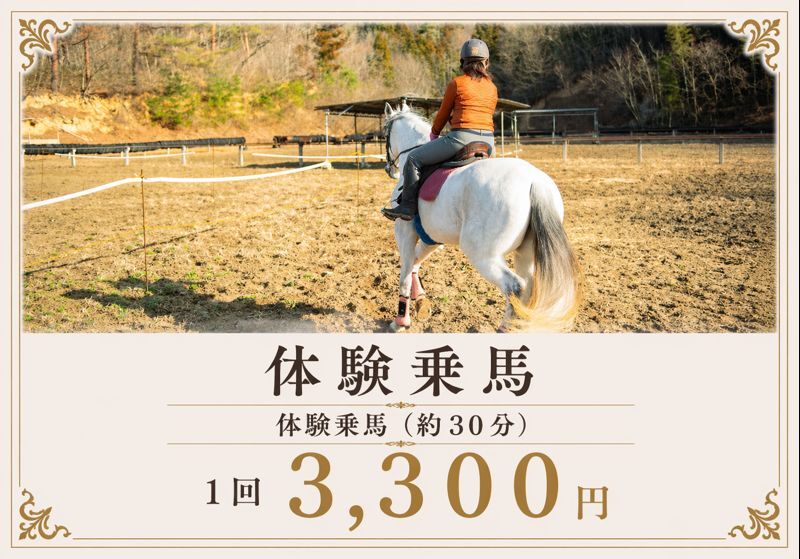 体験乗馬