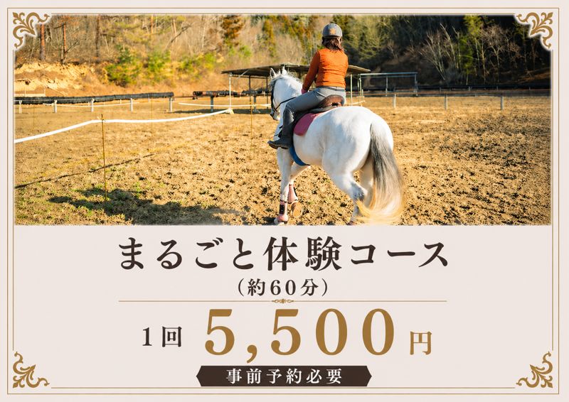 まるごと体験コース