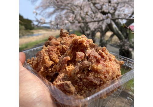 たまげた家