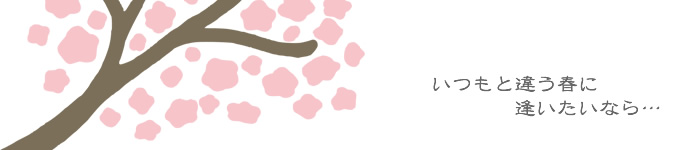 霞ヶ城の桜