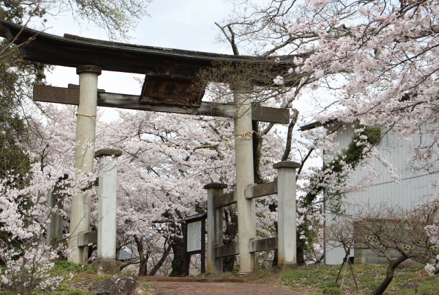 梁川八幡神社2