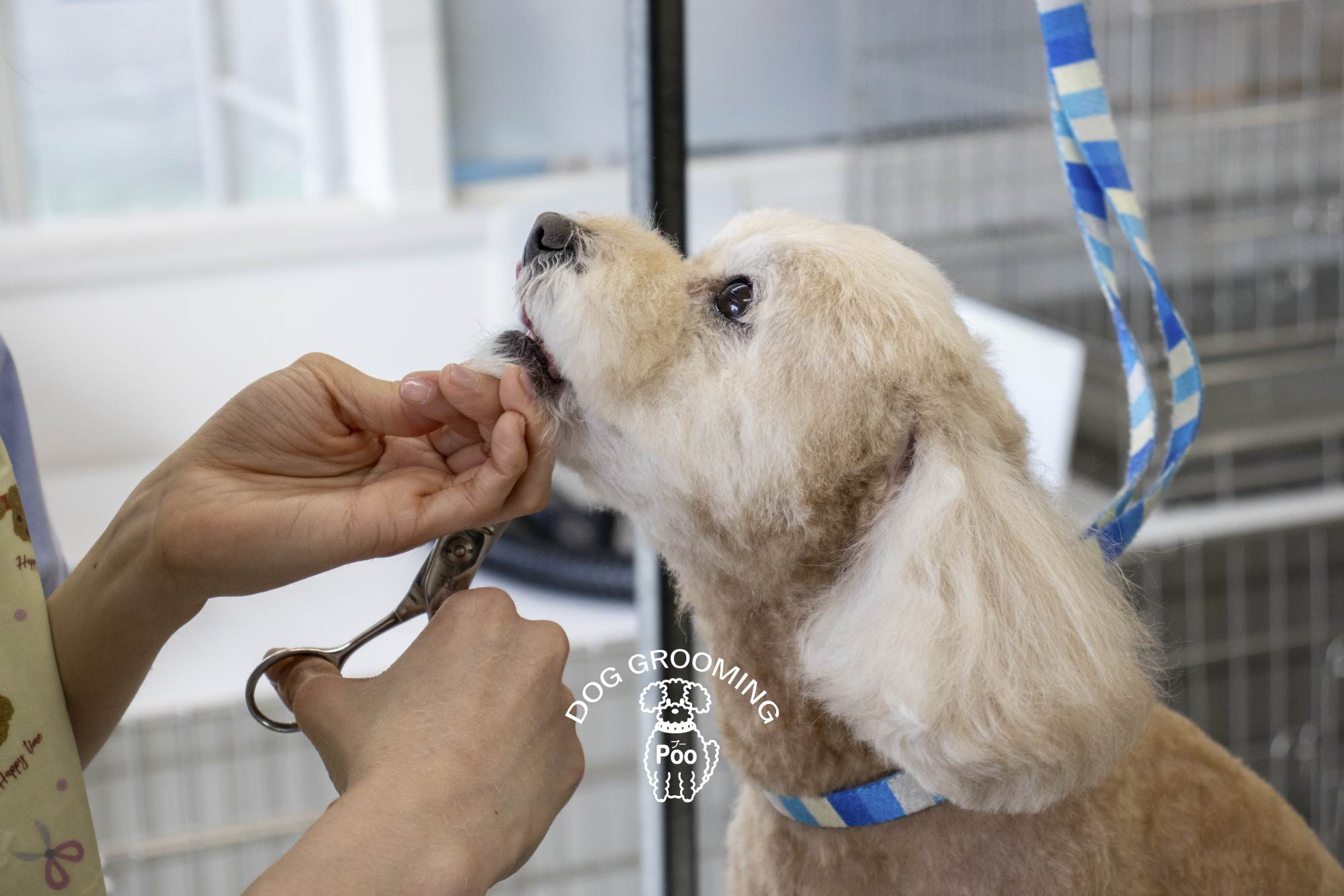 重要】料金改定についてのお知らせです（2024.11.14） | 福島市の