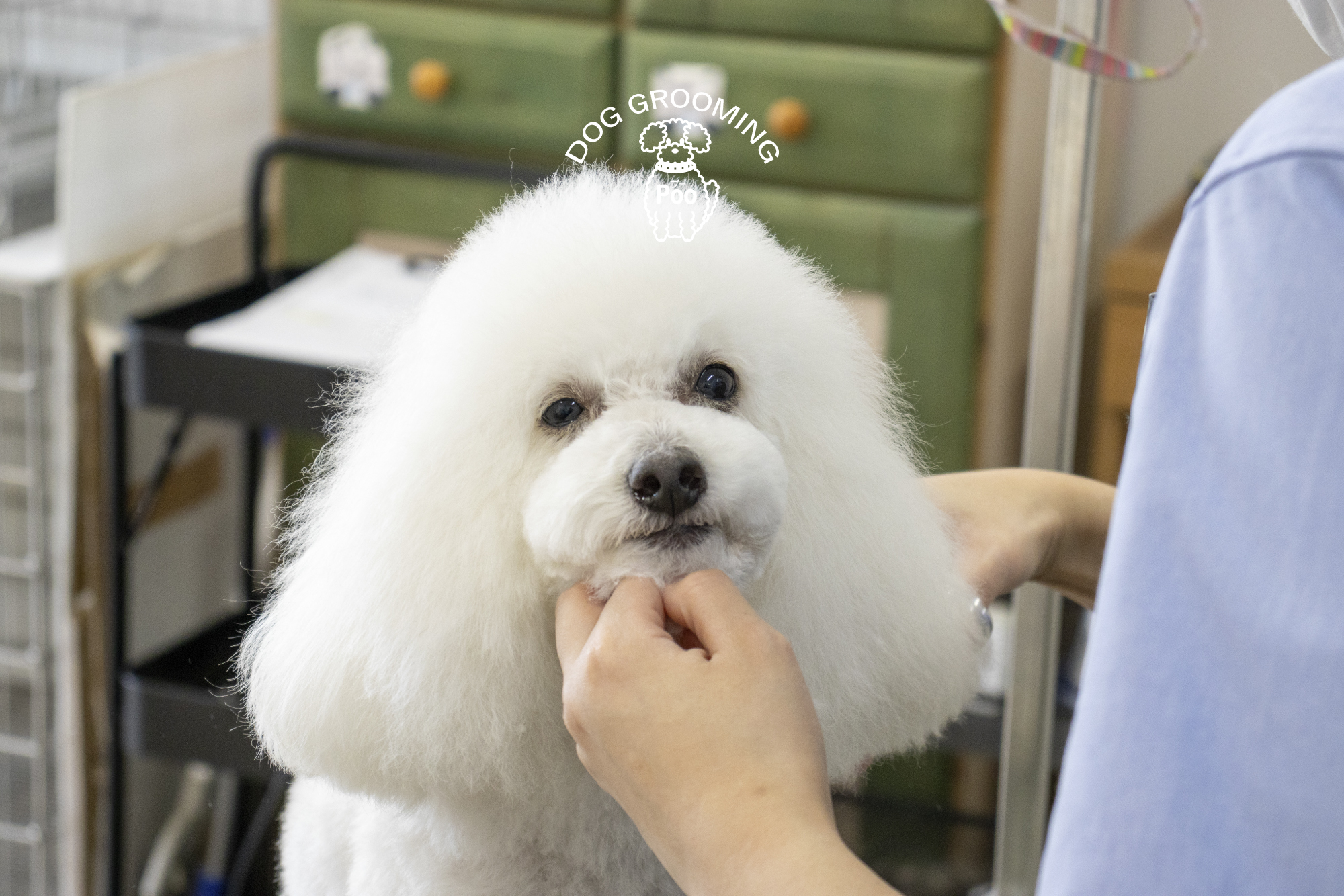 重要】料金改定についてのお知らせです（2024.11.14） | 福島市の