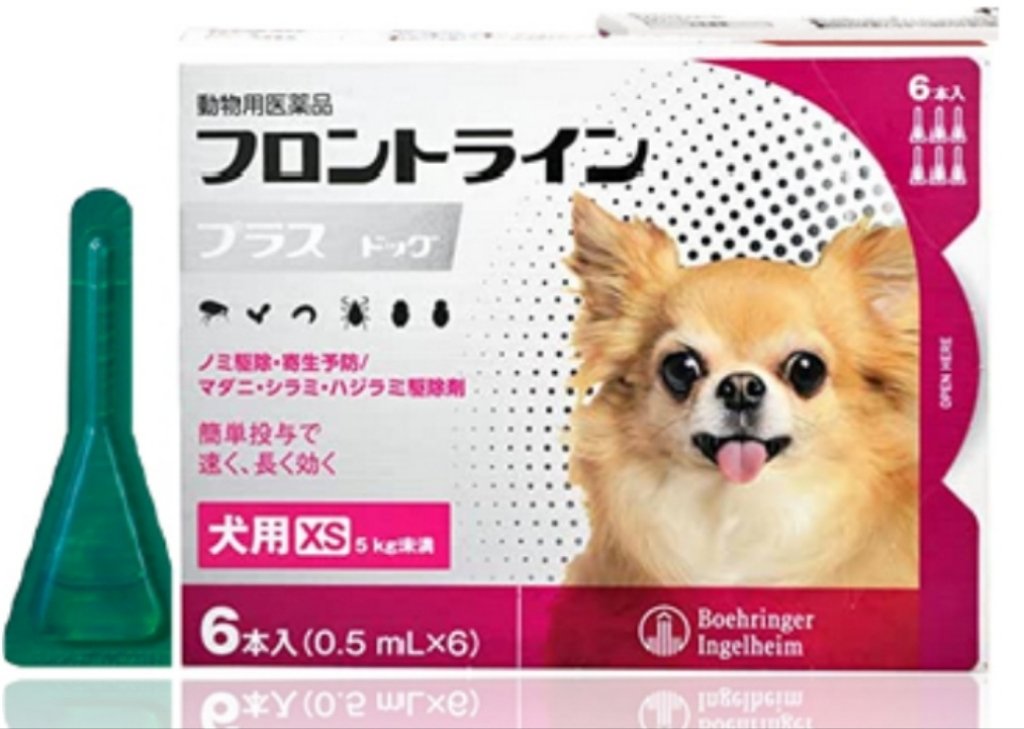 /common/image2.php?1=1&w=960&t=1&f=https%3A%2F%2Fwww%2Egurutto%2Dfukushima%2Ecom%2Fdb%5Fimg%2Fcl%5Fimg%2F468%2Fnews%2Fimages%2Fapp%5FcIarKa%5F202303131643%2Ejpg