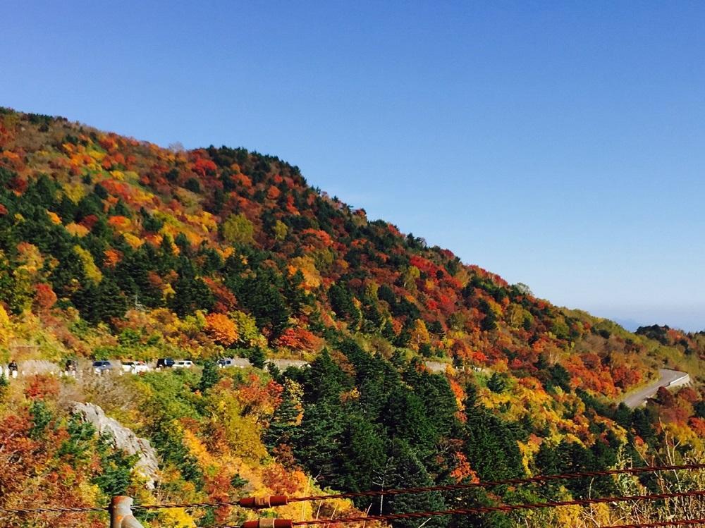 17年 スカイライン紅葉情報 17 10 07 福島県 磐梯吾妻スカイラインの紅葉 17年 スカイライン紅葉情報 17 10 07 福島県 磐梯吾妻スカイラインの紅葉